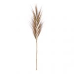 SALONY AGATA_41373-017 TRAWA EGZOTYCZNA NATURALNA 118 CM_44,90ZŁ Styl, wygoda i funkcjonalność: znajdź idealny mebel wypoczynkowy